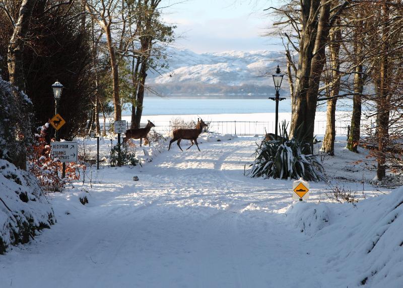 Lake Lodge Guesthouse Cill Airne Exteriör bild